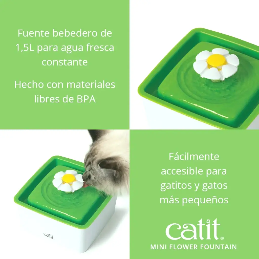 fuente 1.5.webp